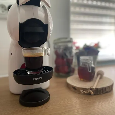 Cantinho Da Rosa - Feriehus Terras de Bouro