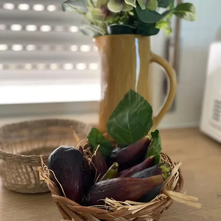 Cantinho Da Rosa - Terras de Bouro